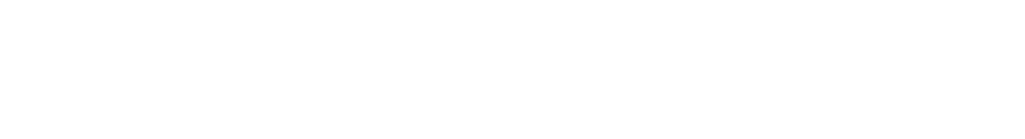 Viessmann System Profi